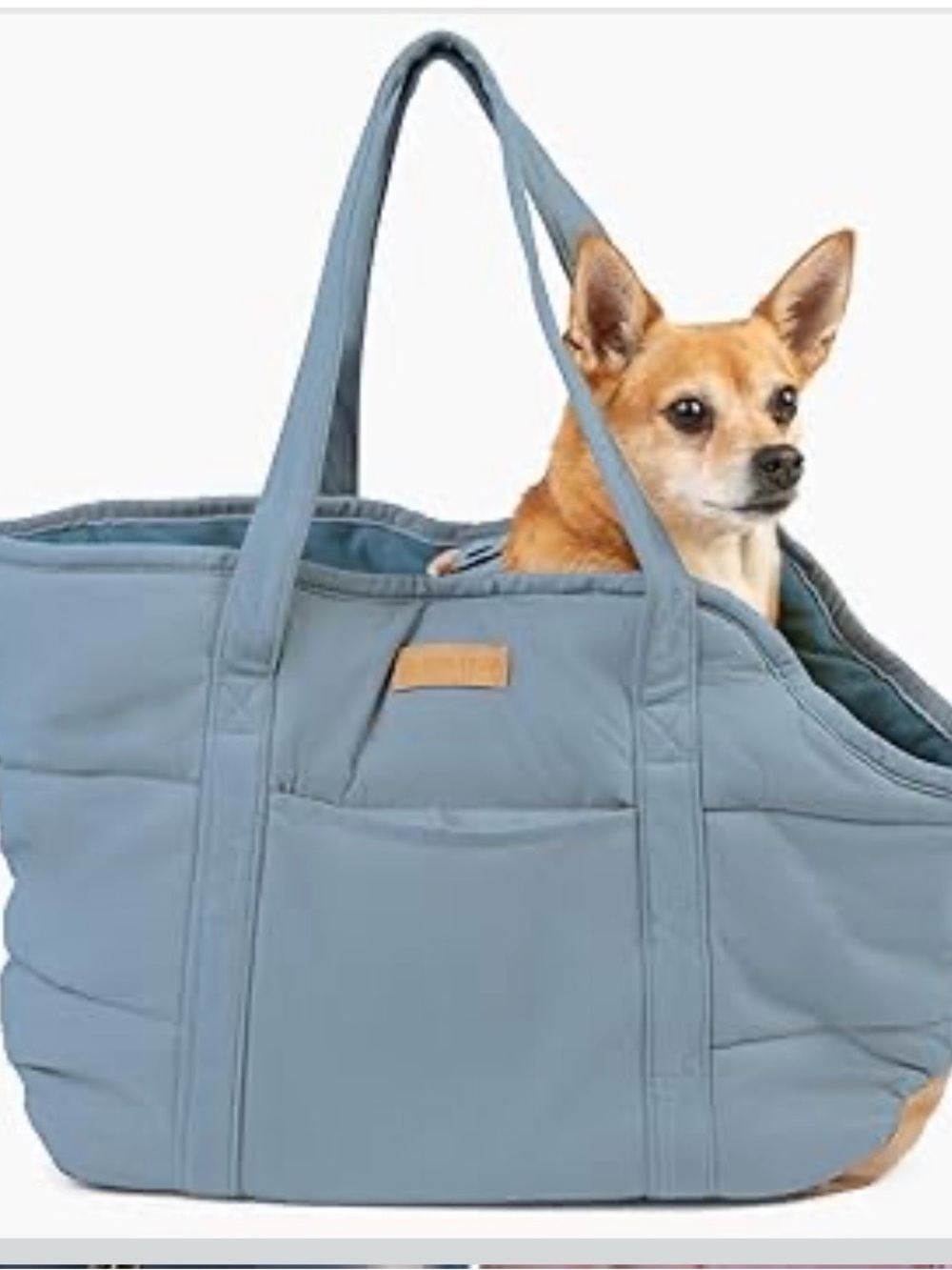 Soft Blue Pet Carrier Tote Bag by